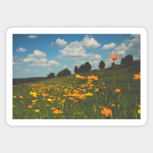 Summer Field of Wildflowers Sticker